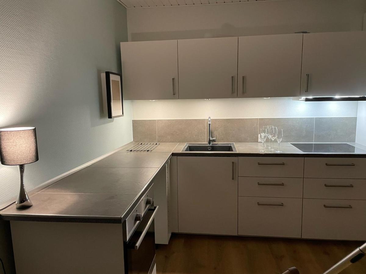 Jonstrupvejens Apartments Lejl B Ballerup Zewnętrze zdjęcie