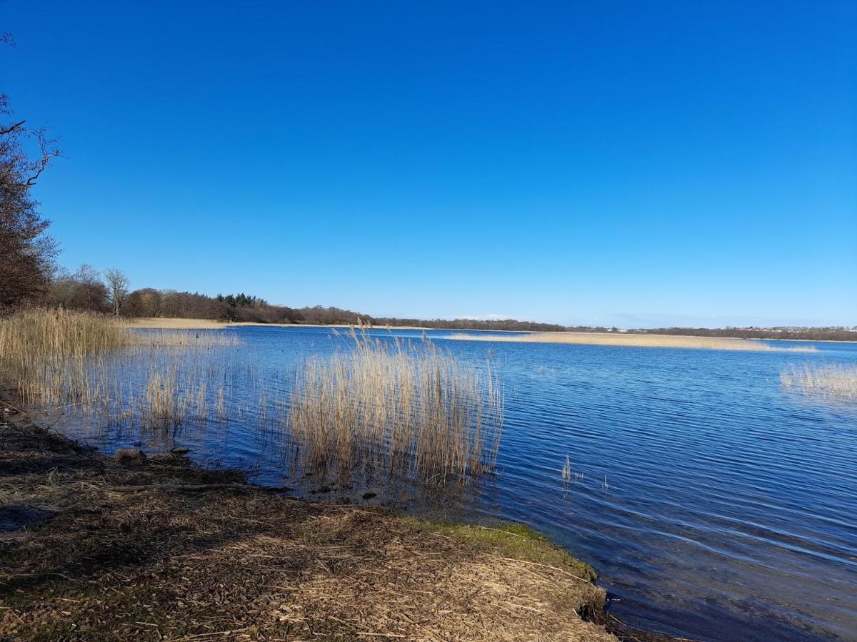 Jonstrupvejens Apartments Lejl B Ballerup Zewnętrze zdjęcie