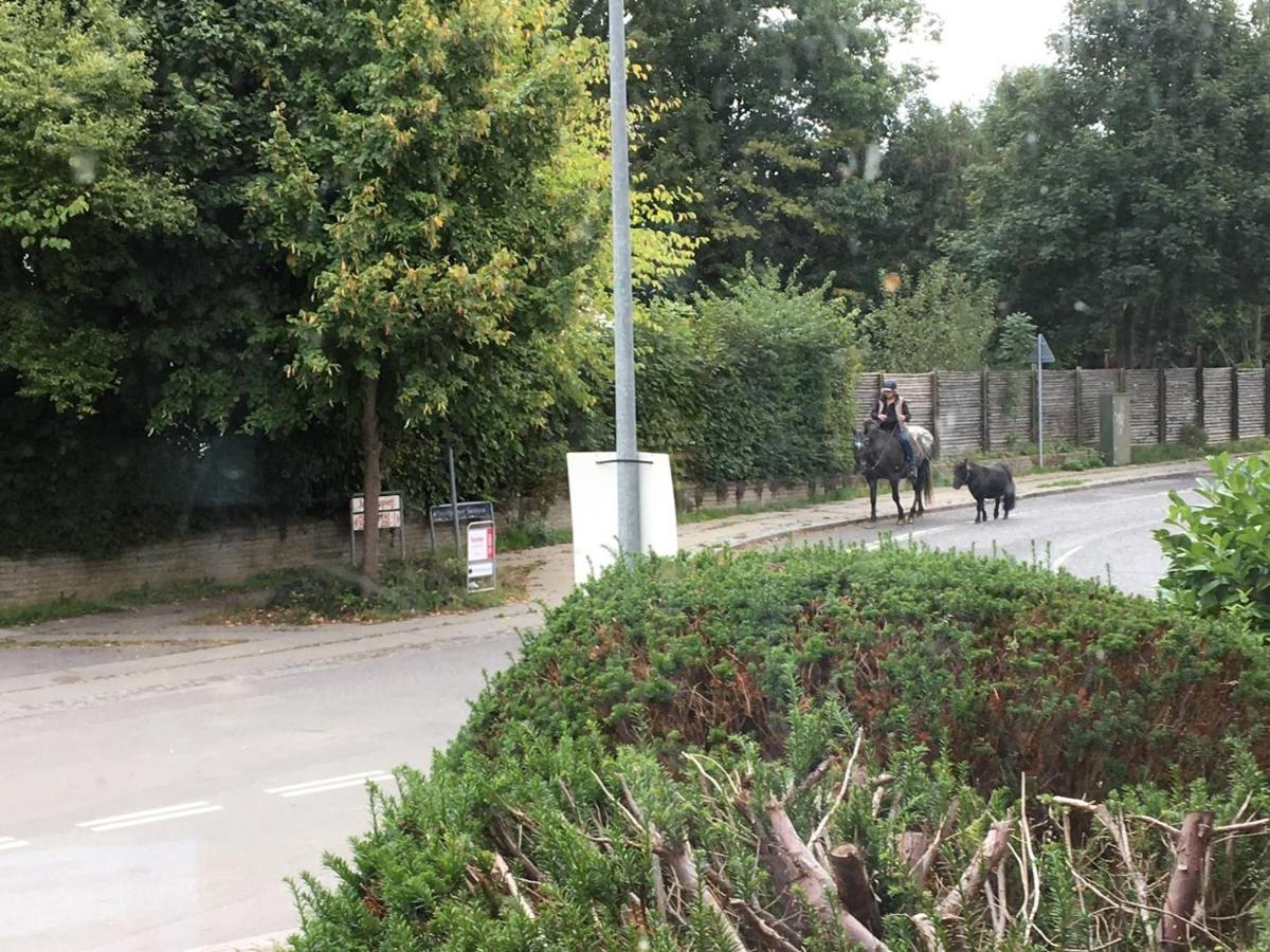 Jonstrupvejens Apartments Lejl B Ballerup Zewnętrze zdjęcie