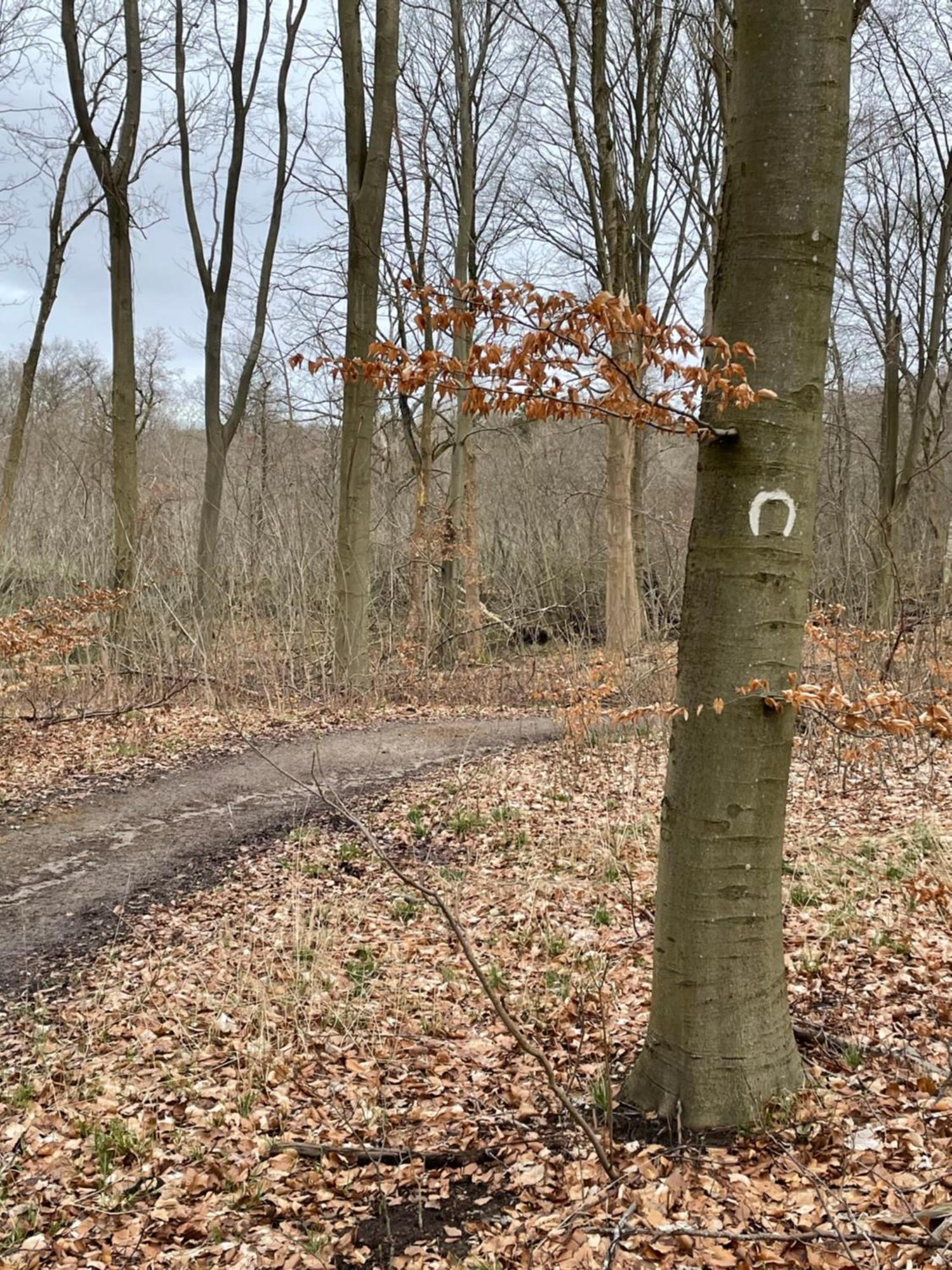 Jonstrupvejens Apartments Lejl B Ballerup Zewnętrze zdjęcie